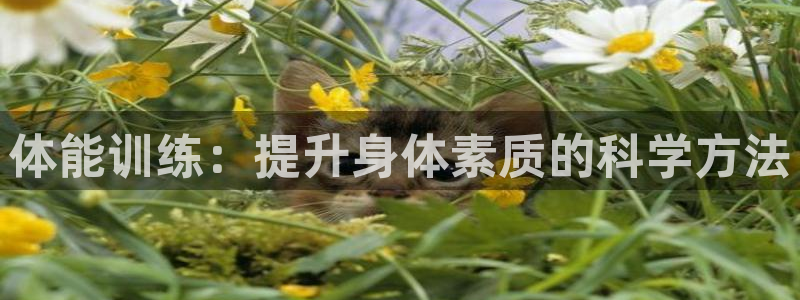 MK体育官网下载平台注册流程图:体能训练:提升身体素质的科学