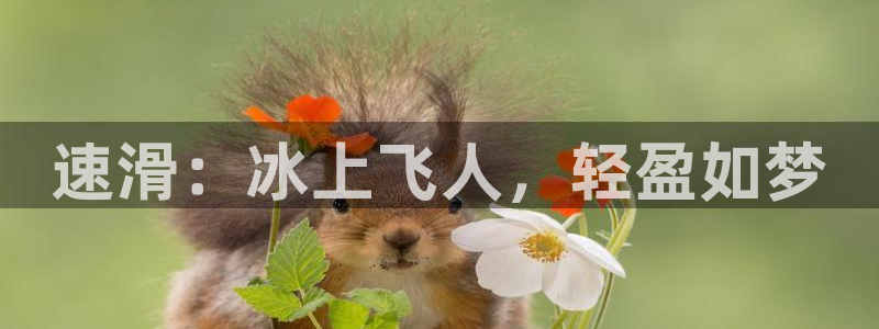 MK体育官网下载平台是正规平台吗安全吗:速滑:冰上飞人,轻盈